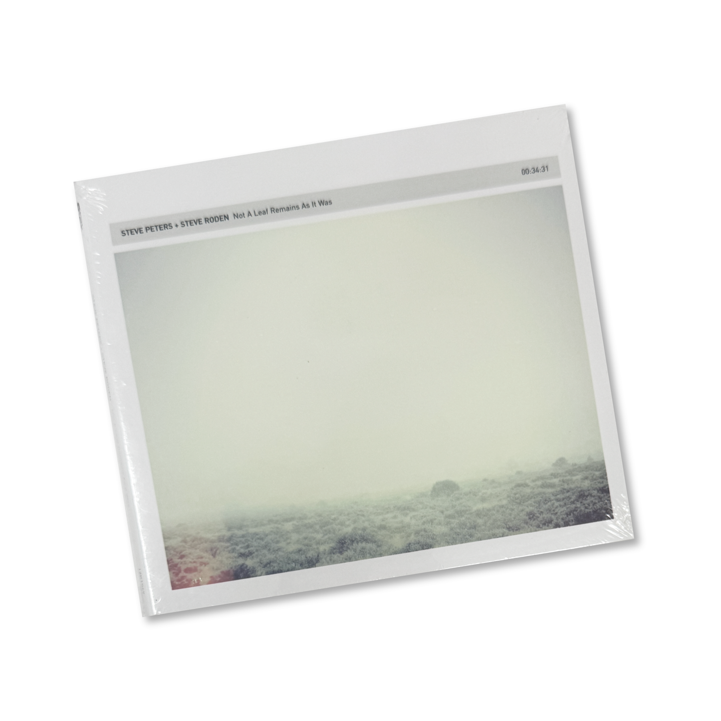 Steve Peters & Steve Roden 'Not A Leaf Remains As It Was' [CD]