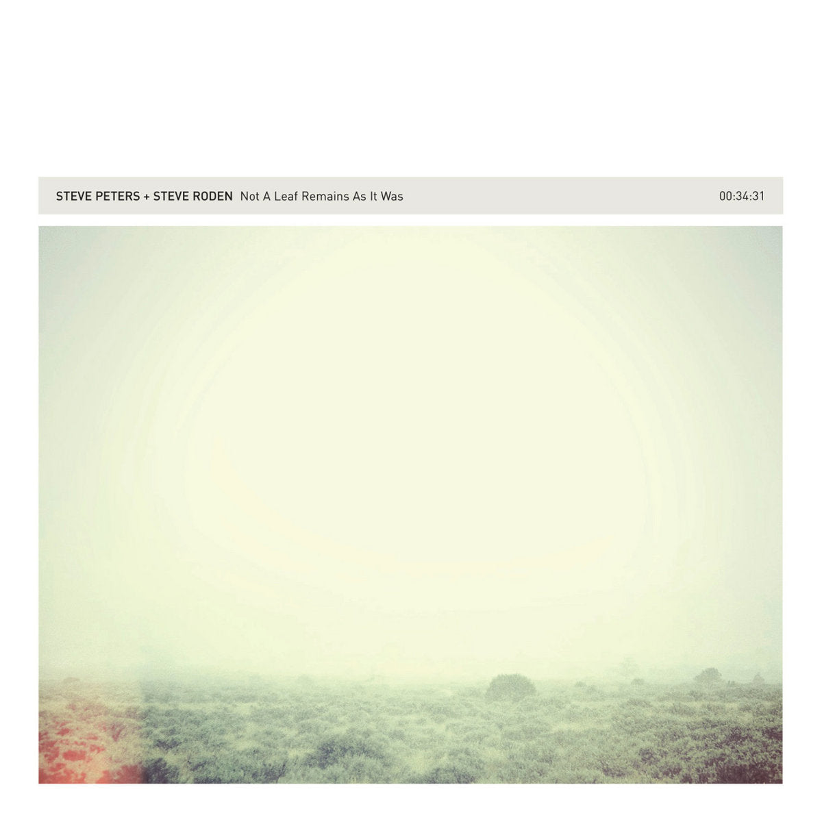 Steve Peters & Steve Roden 'Not A Leaf Remains As It Was' [CD]