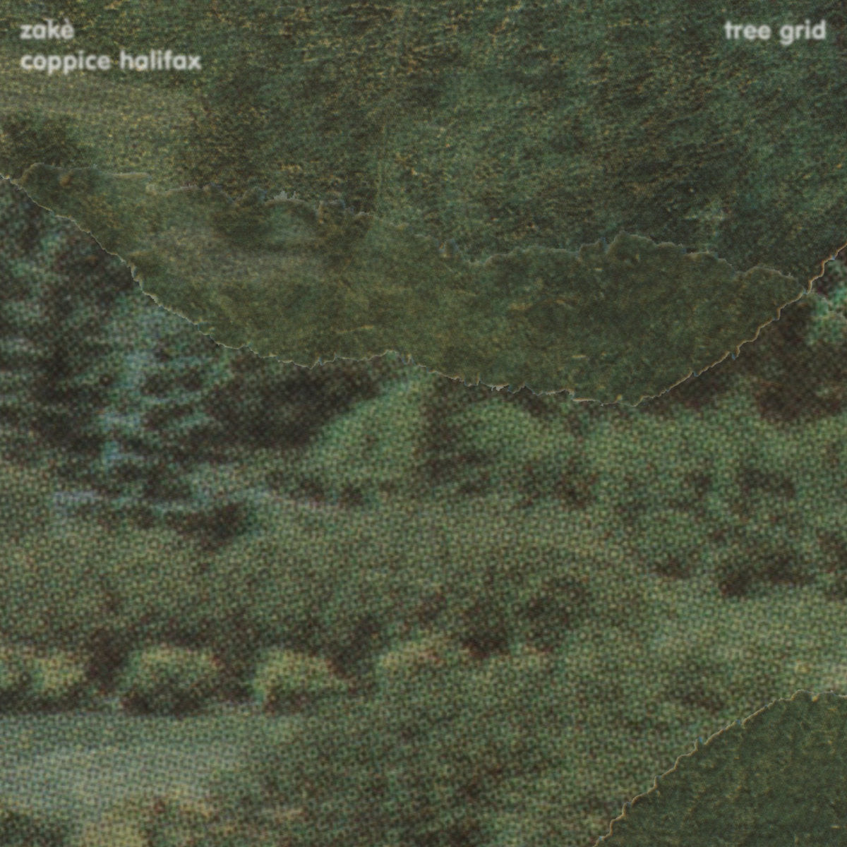 zakè & coppice halifax 'Tree Grid' [CD]
