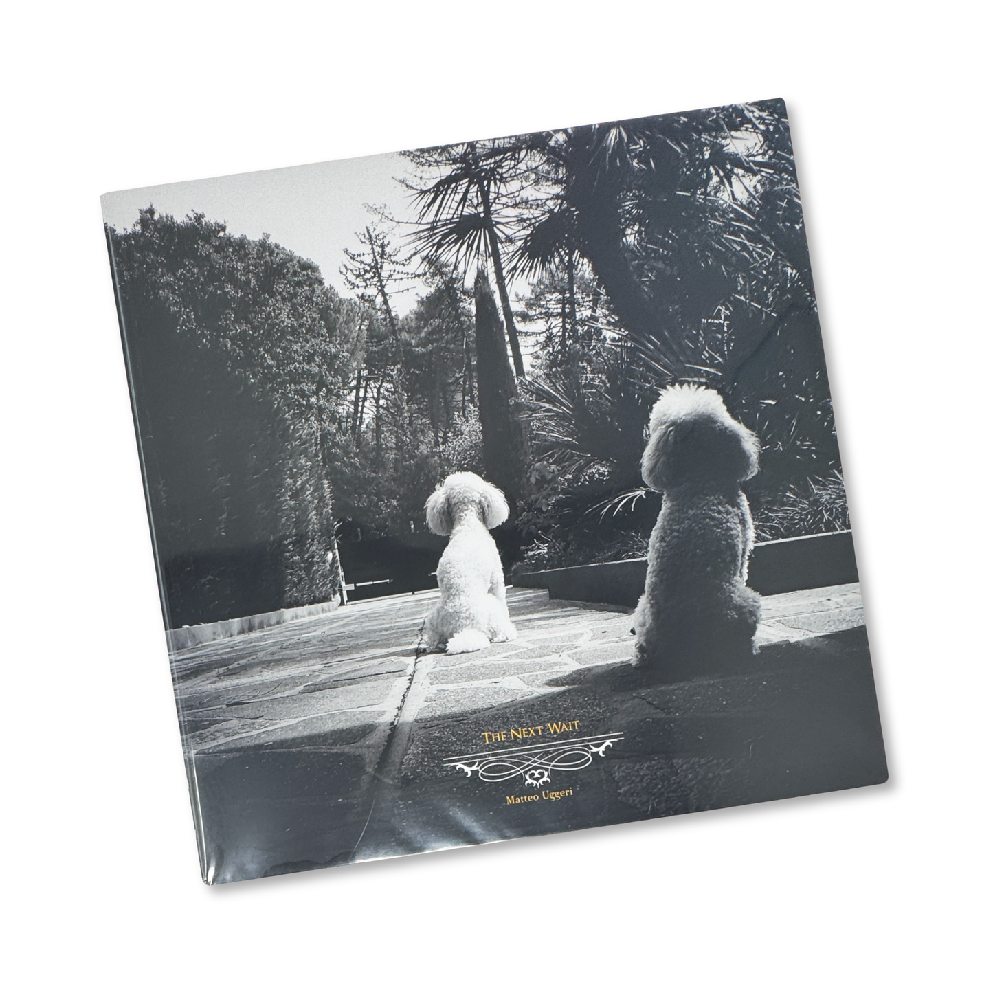 Matteo Uggeri 'The Next Wait' [LP+7"]