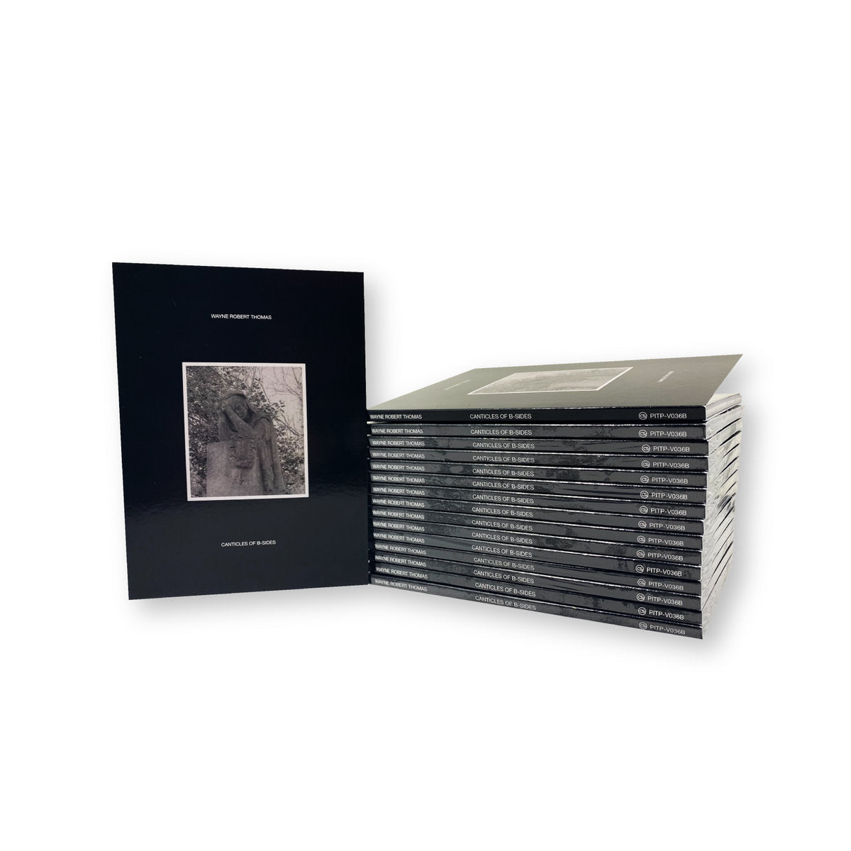 Wayne Robert Thomas 'Canticles of B-Sides' [CD]