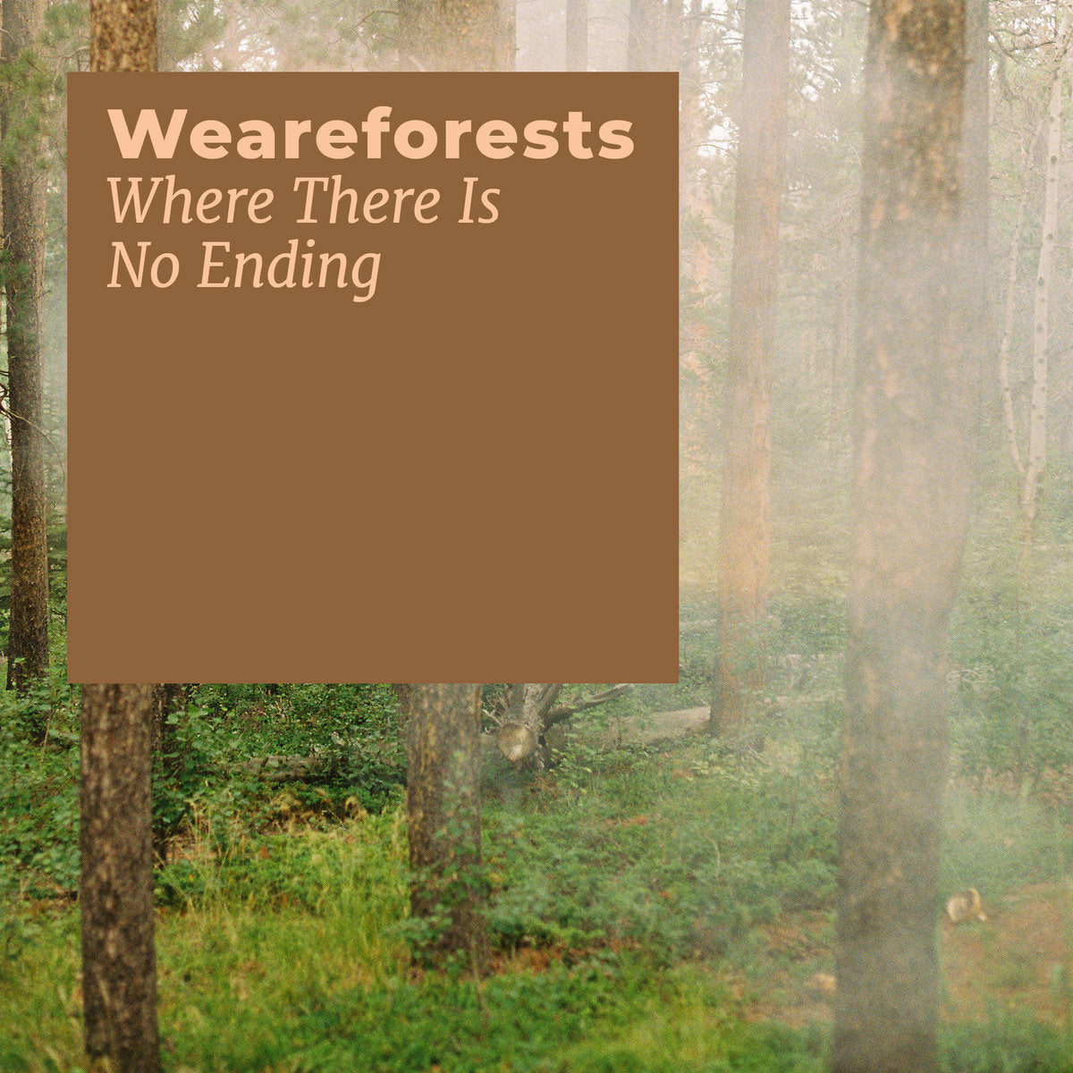 weareforests 'Where There Is No Ending' [CS]