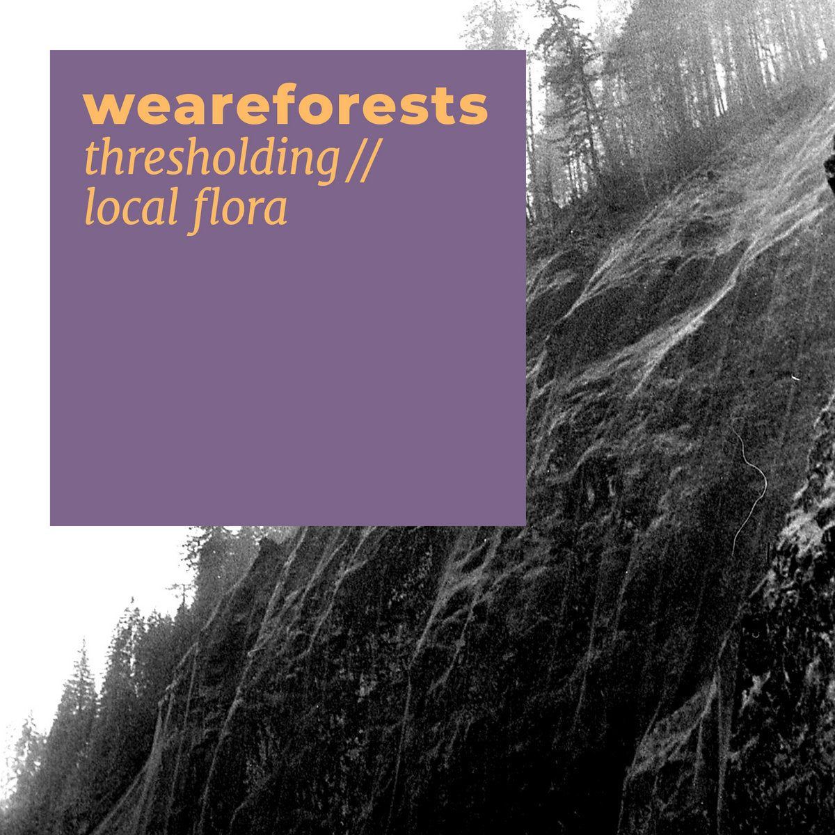 weareforests 'thresholding // local flora' [CS]