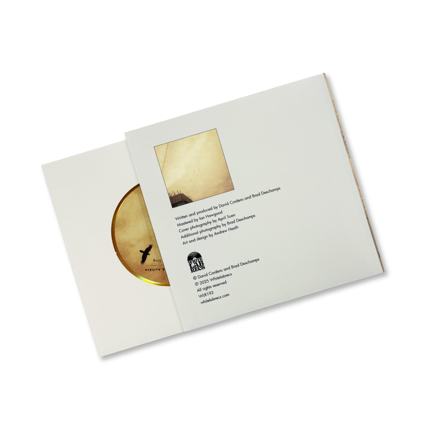 David Cordero & Anthéne 'Let One Bird Sing' [CD]