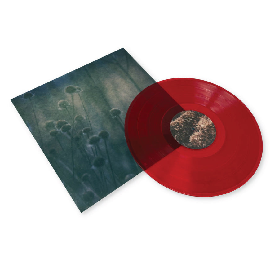 zakè, City of Dawn, Ossa 'A Pale Shelter' [LP]