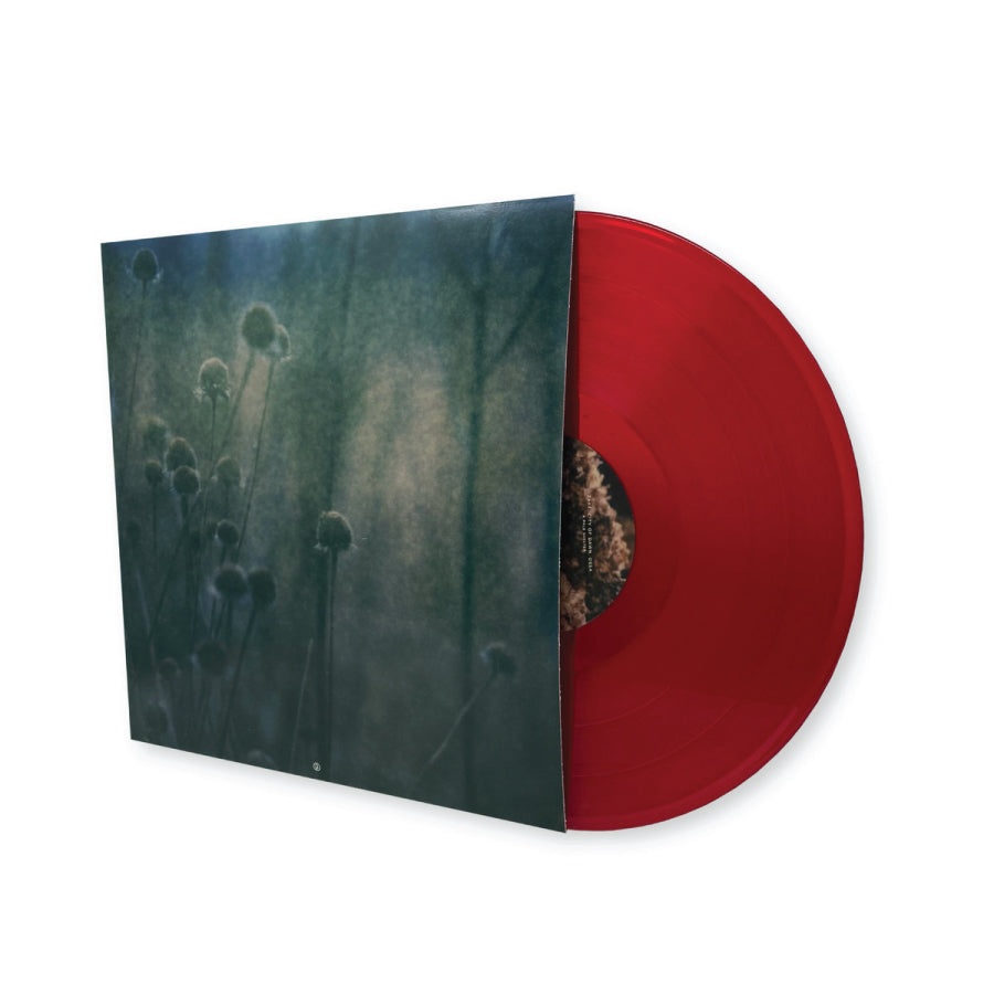 zakè, City of Dawn, Ossa 'A Pale Shelter' [LP]