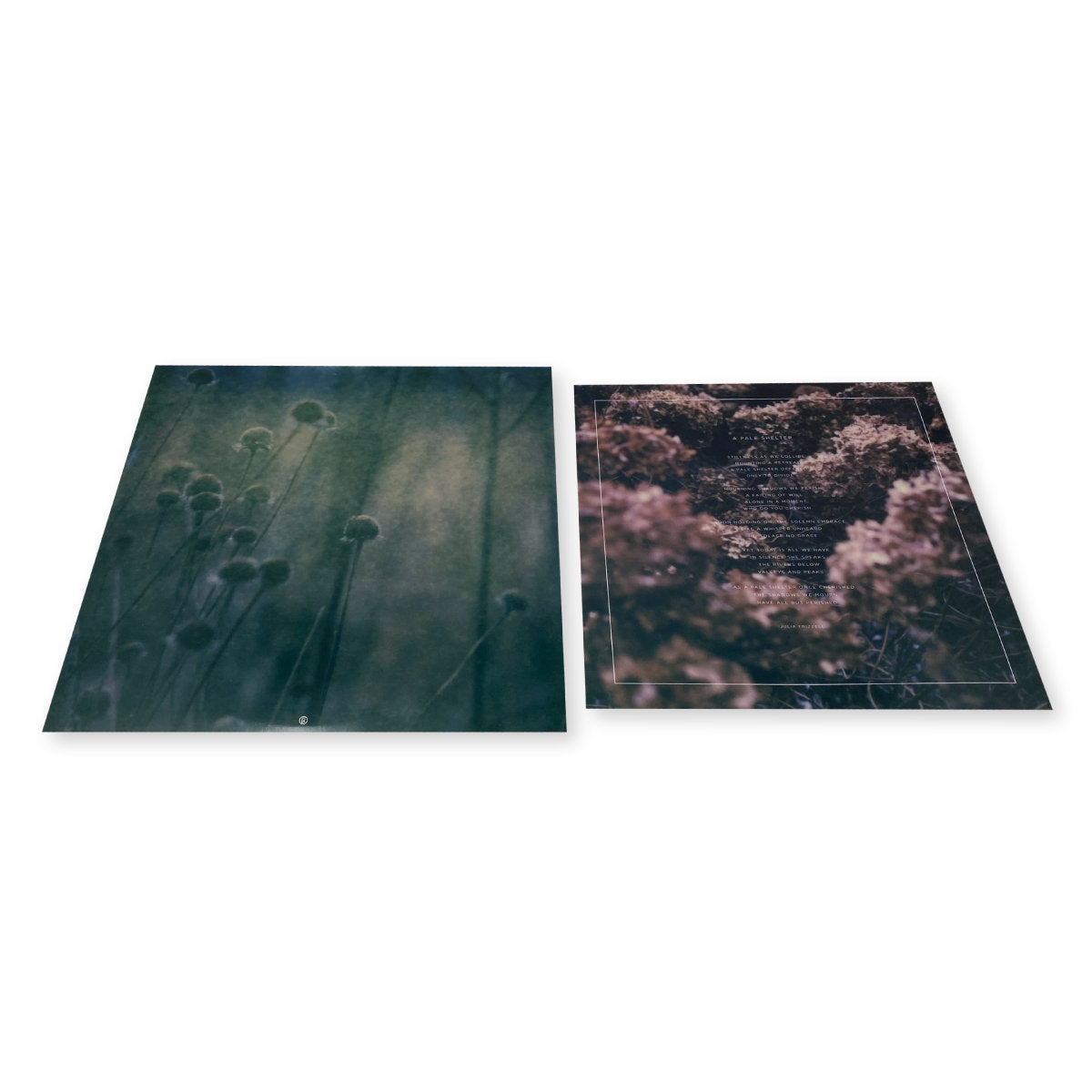 zakè, City of Dawn, Ossa 'A Pale Shelter' [LP]
