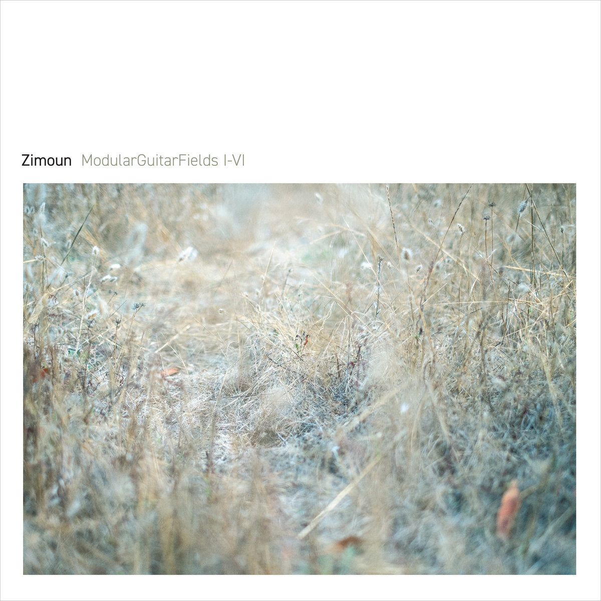Zimoun 'ModularGuitarFields I-VI' [LP]